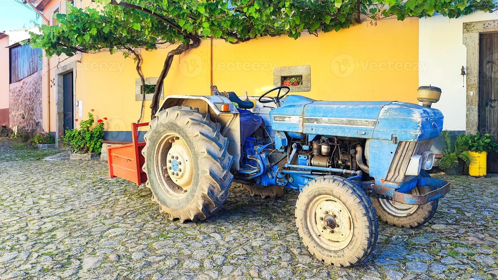 A tractor on an old cobblestone street in a village in Portugal. Close-up of a tractor on a summer village street in Portugal, which stands on the pavement under grapes photo