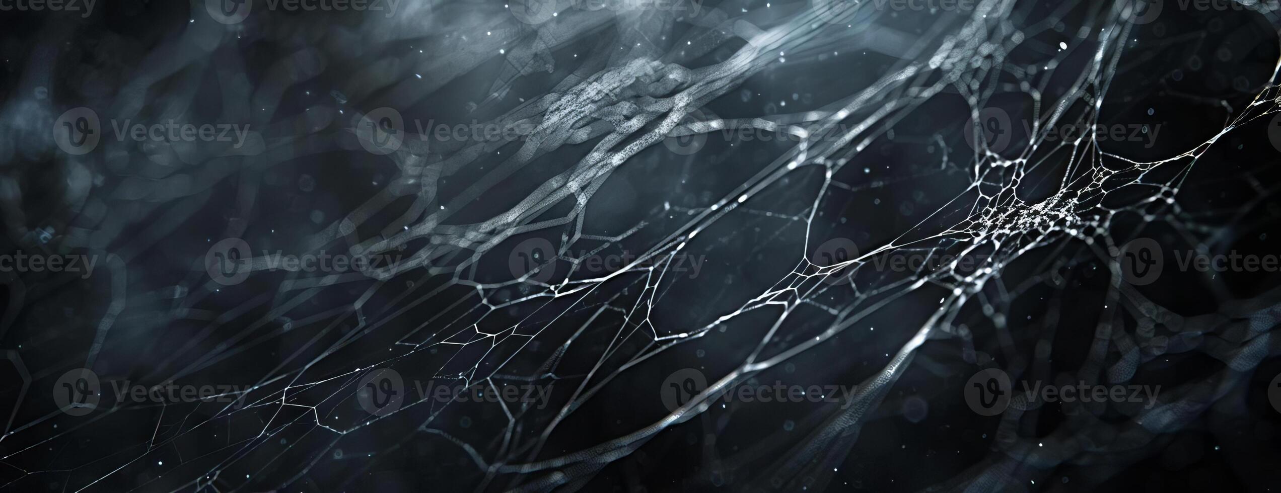 Worms-eye perspective, CG 3D-rendered creepy spider webs, complex and delicately interwoven, dark atmosphere on a black banner, minimal yet impactful copyspace that draws attention photo