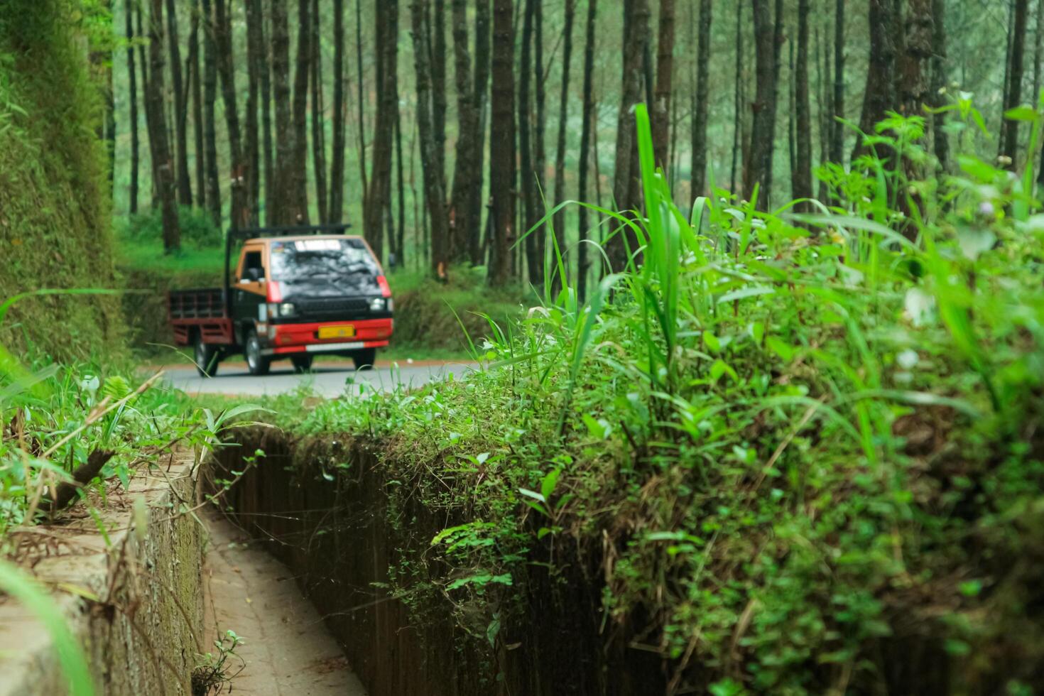 a dry waterway on a plateau A scenic country road winds through a lush pine forest, with a pickup truck driving in the distance. The road is flanked by green vegetation, creating sense of tranquility photo