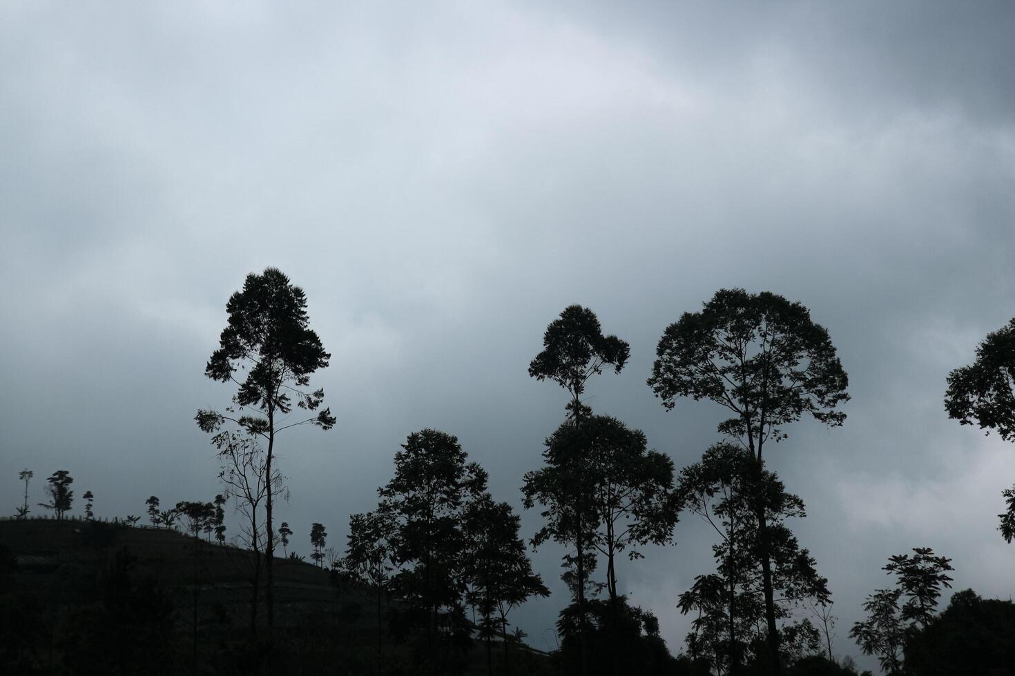 silhouette of a hill with trees on it in a dark, cloudy sky. photo