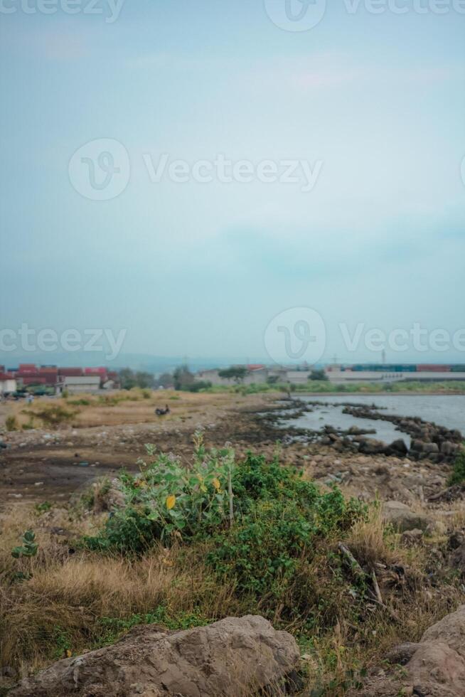 a rocky shoreline with a body of water in the background. The rocks are large and gray, and there are a few small plants growing between them. The water is calm and blue, and there are a few buildings photo