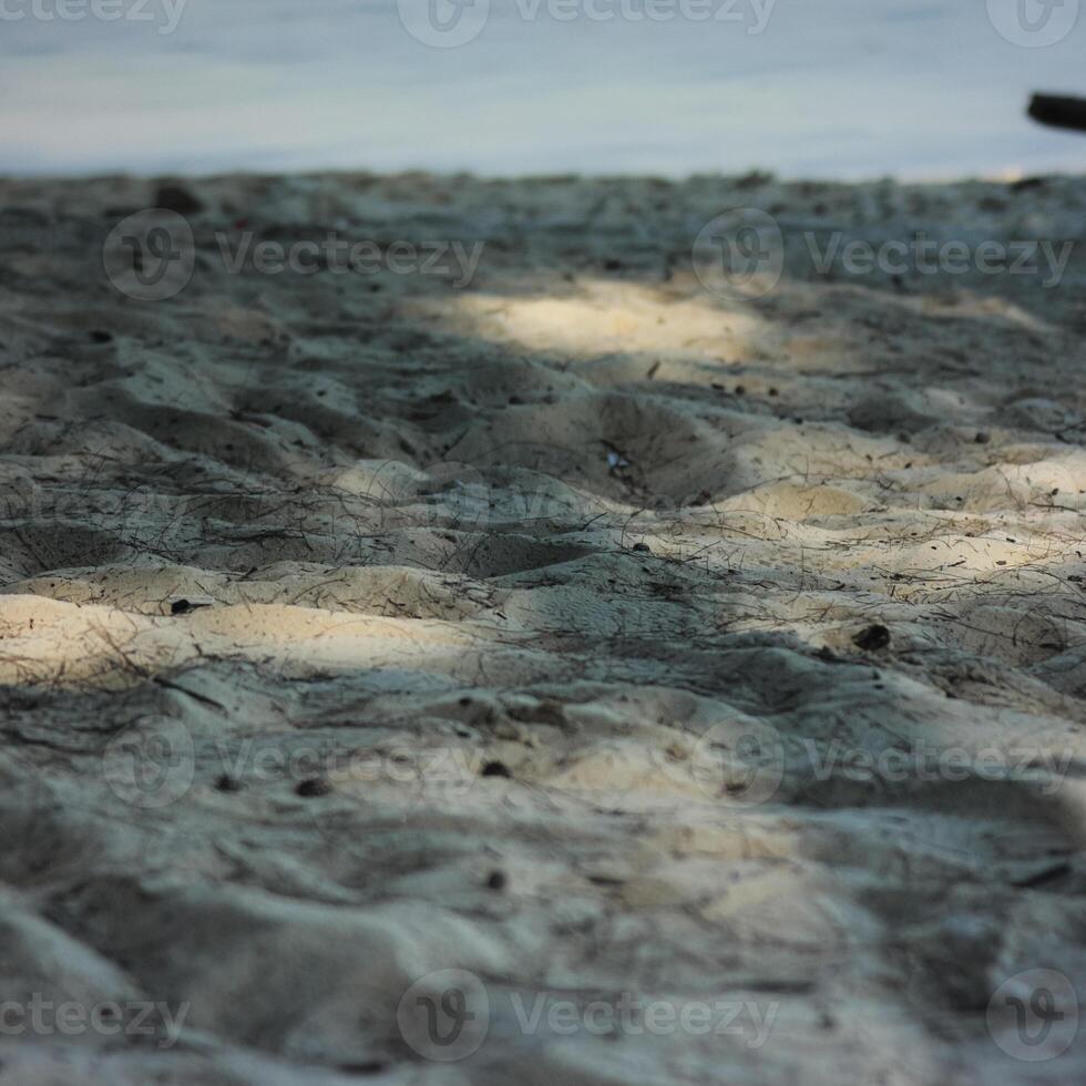 sandy beach with some small twigs and branches scattered across the surface. The sand is light and powdery, and the light is casting long shadows on the ground photo