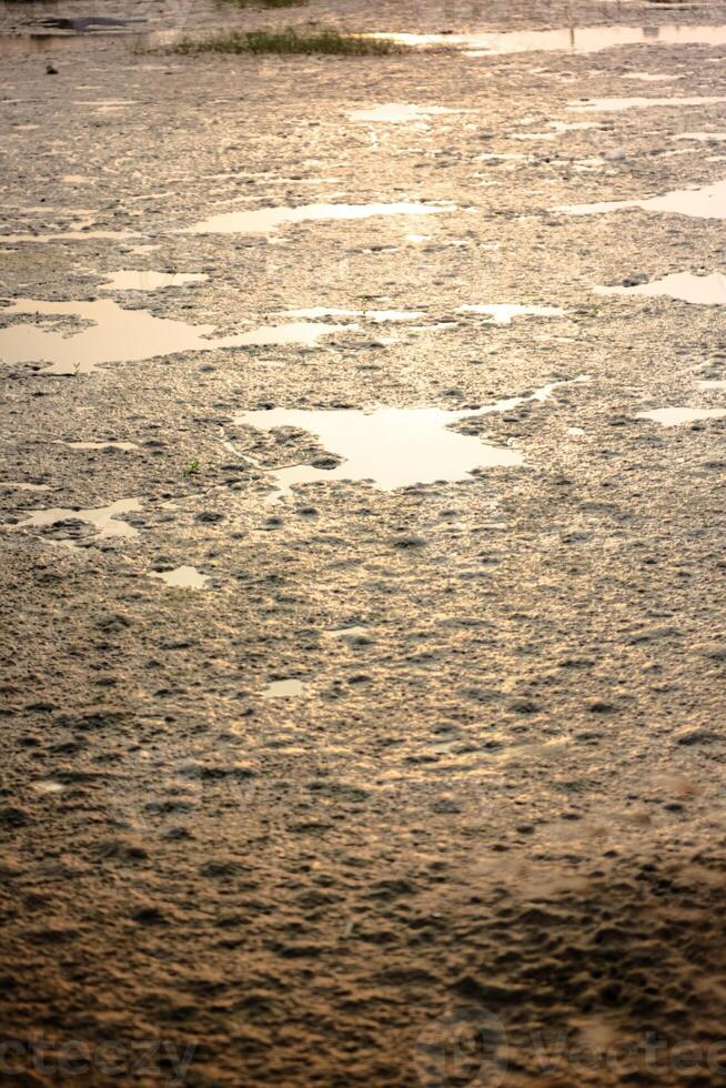 Shallow muddy puddle with a clear orange sky reflected on its surface. Lush green grass and a few blades of brown grass border the puddle. photo