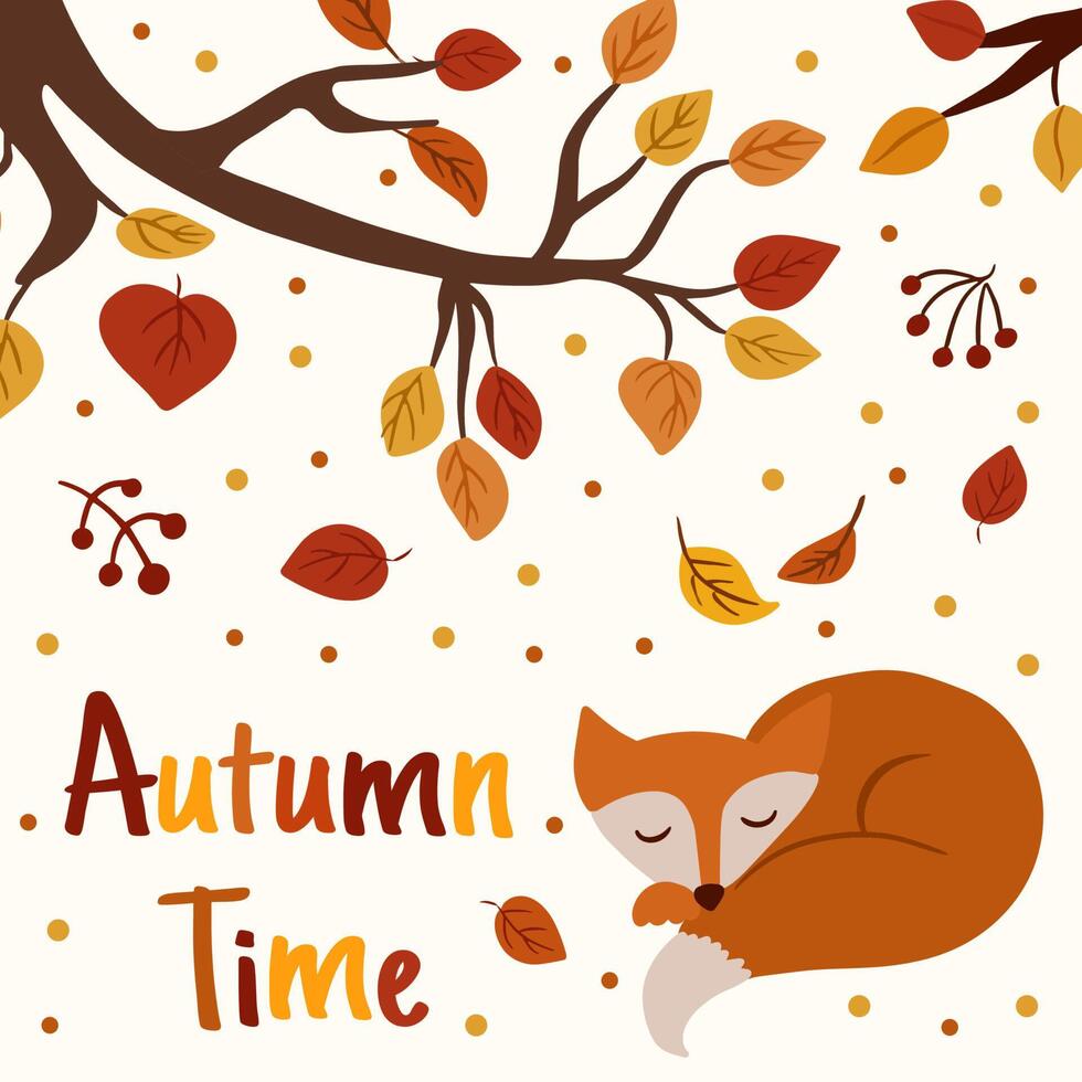 Greeting card with autumn branch and a sleeping fox vector