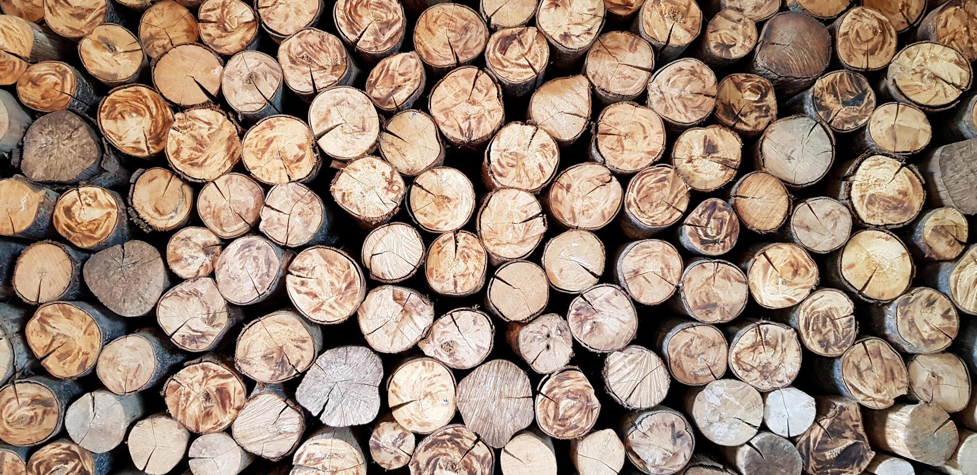 Group of log, wood or timber stack for fire and background. Art wallpaper, Natural material, Abstract and Round shape concept. photo