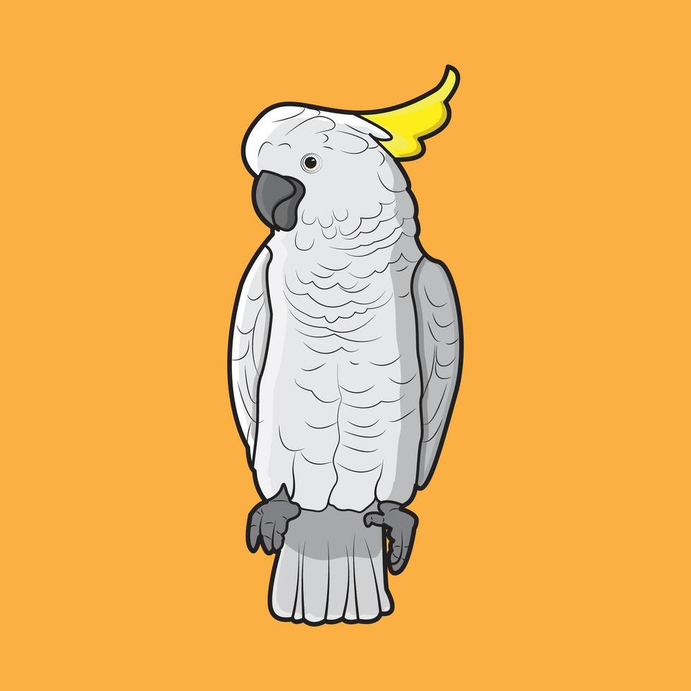 Cute cockatoo parrot bird design illustration vector