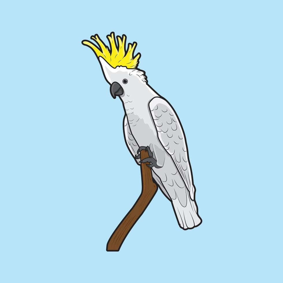 cute cockatoo parrot illustration vector