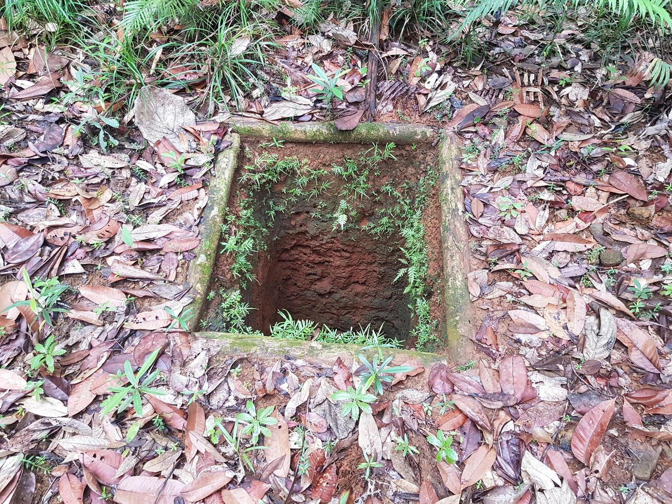 Abandoned well in the middle of forest photo