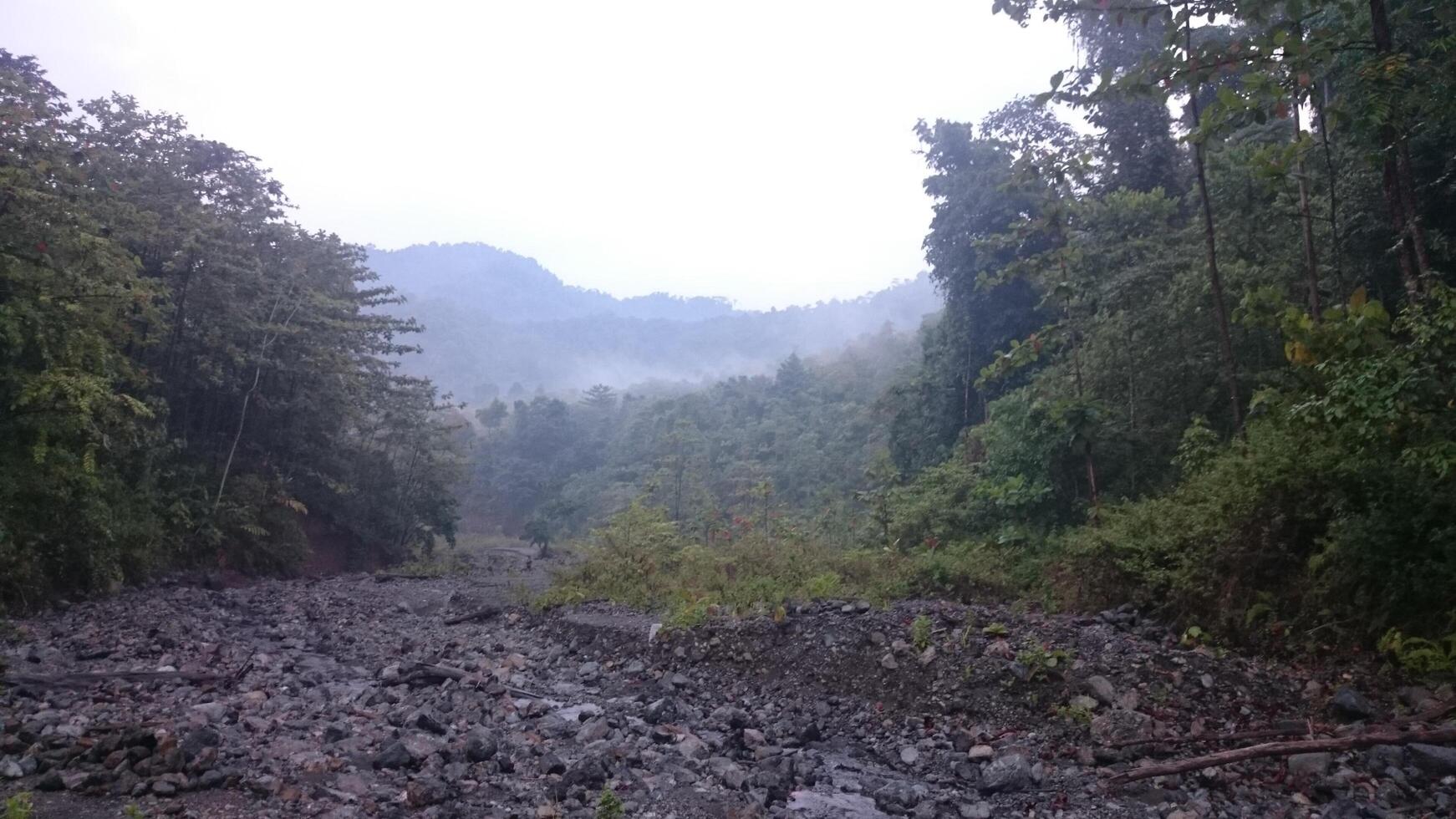 Misty Forest and Rocky Riverbed photo