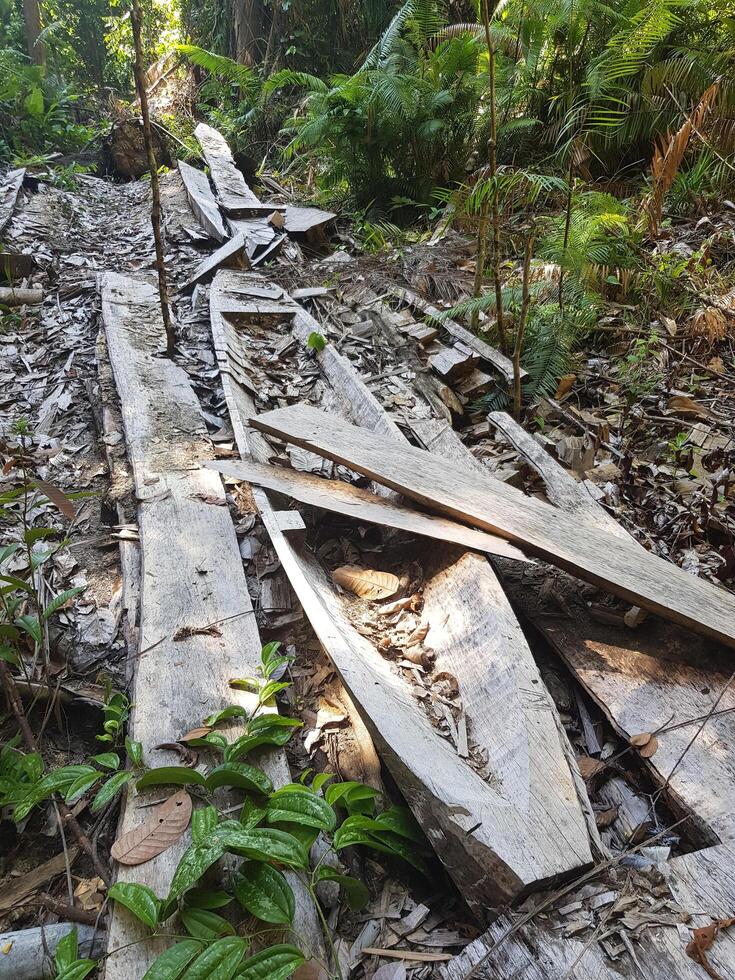 Abandoned traditional boat on the forest photo