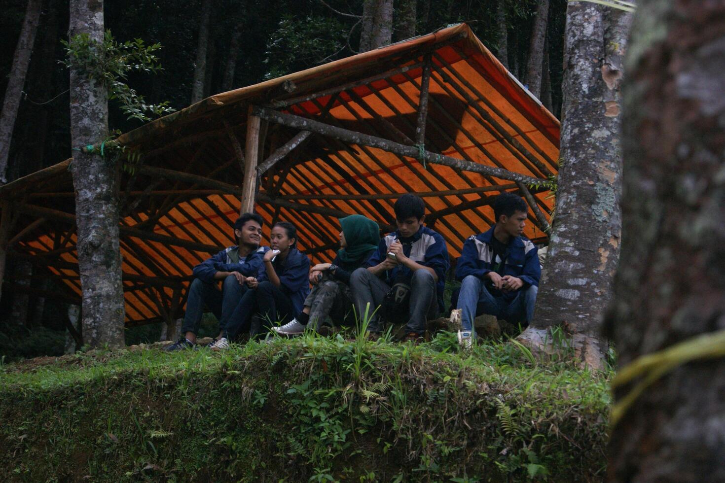 Students Talking in Forest Shelter photo