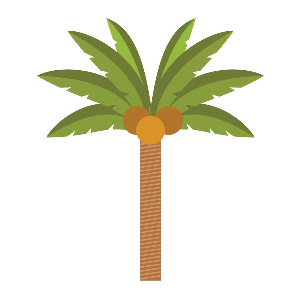 Hand drawn palm trees on white background vector
