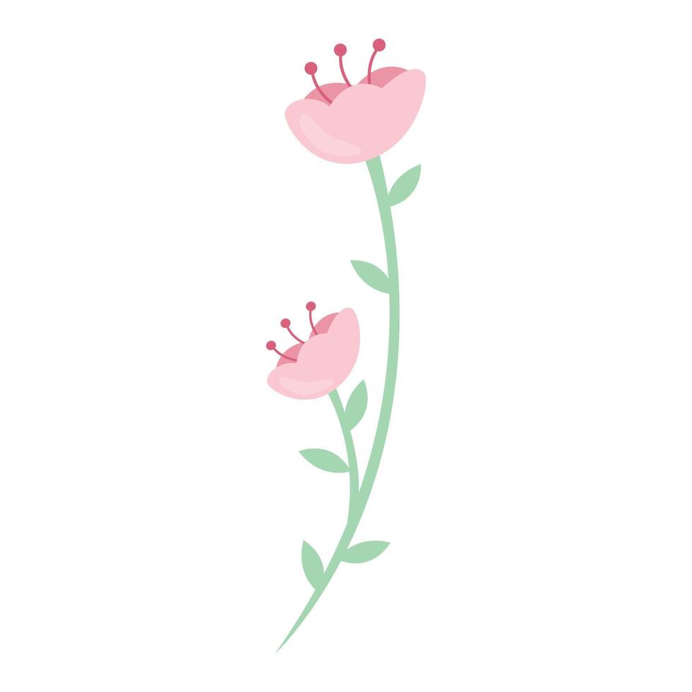 Hand drawn spring flower on white vector