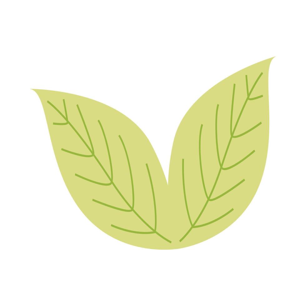 Leaves flat icon isolated on white background vector