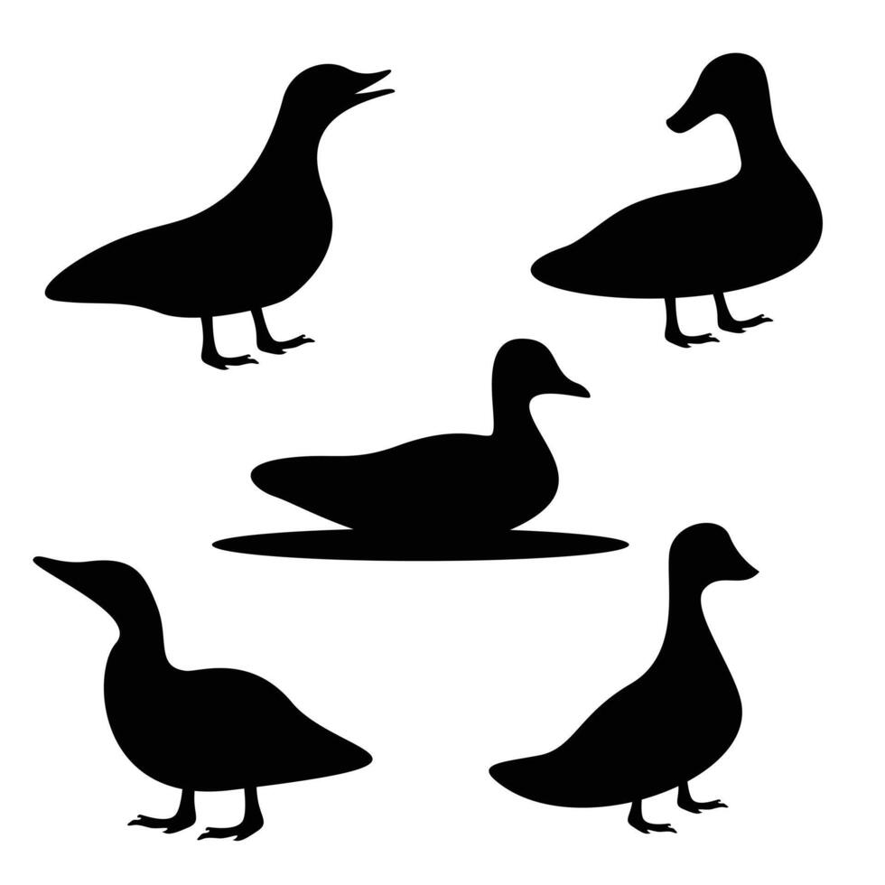 Set of duck silhouette on white background vector