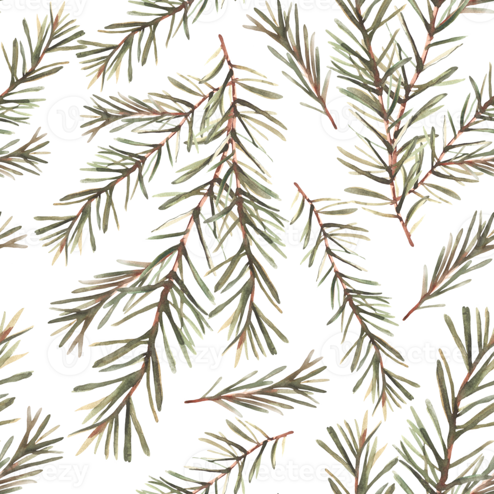 Pine or fir tree branches seamless pattern. Spruce evergreen with needles Winter forest watercolor Christmas tree twig painted illustration for fabric, wallpaper wrapping paper background. png