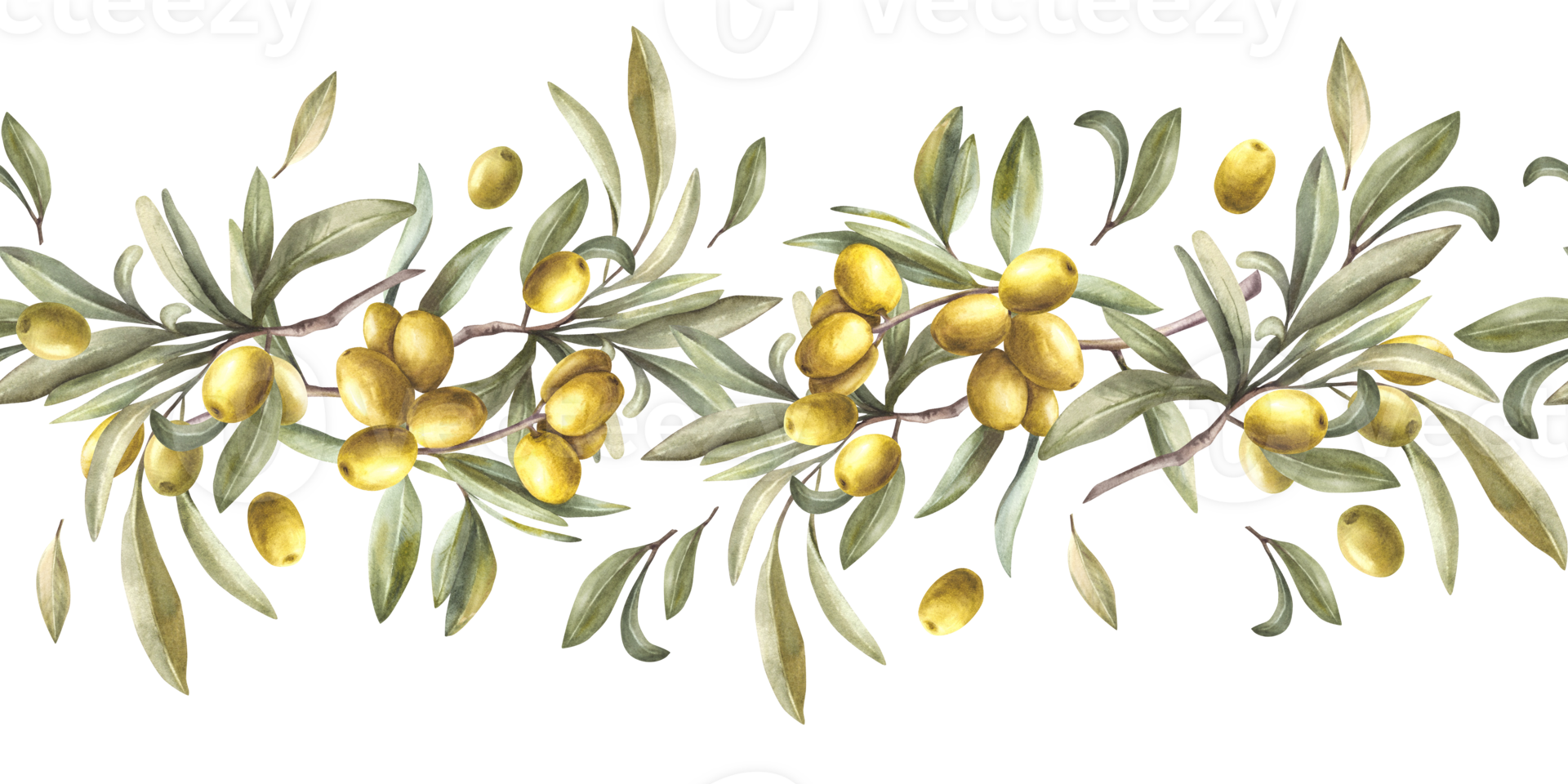 Olive tree branch with green leaves and berries. Watercolor seamless border, pattern. Hand painted illustration. Botanical horizontal clipart for oil label, floral summer print on isolated background. png