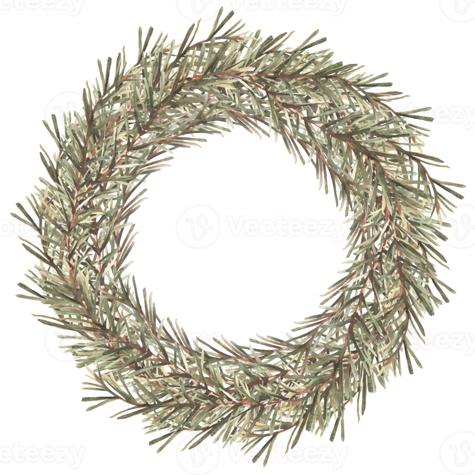 Pine tree branches or spruce wreath. Natural conifer circle frame. Winter greenery, Christmas fir tree sticker or card template. Watercolor hand drawn illustration Clipart on isolated background. png