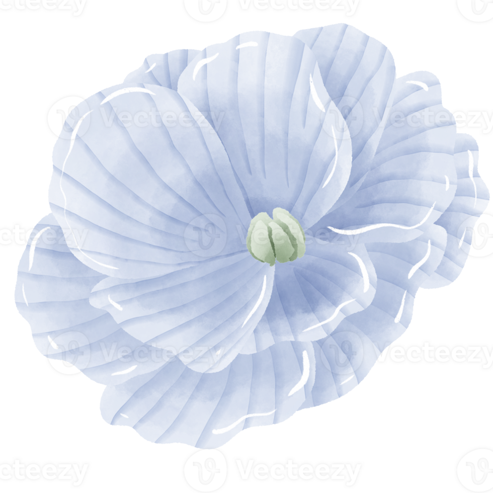 Watercolor Hand drawn illustration blue flax flower floral wreath Decoration Illustration Clipart png