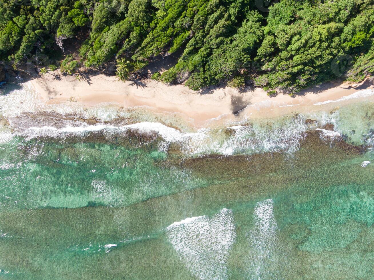 Bird's eye view of ti plage, tartane, martinique, west indies photo