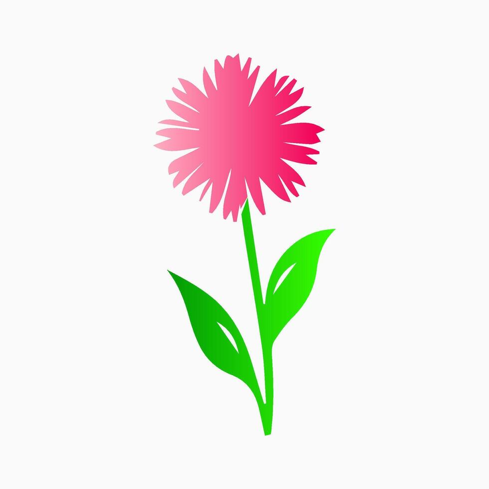Pink flowers, floral decorated with gorgeous multicolored blooming flowers and leaves border. Spring botanical flat illustration on white background vector