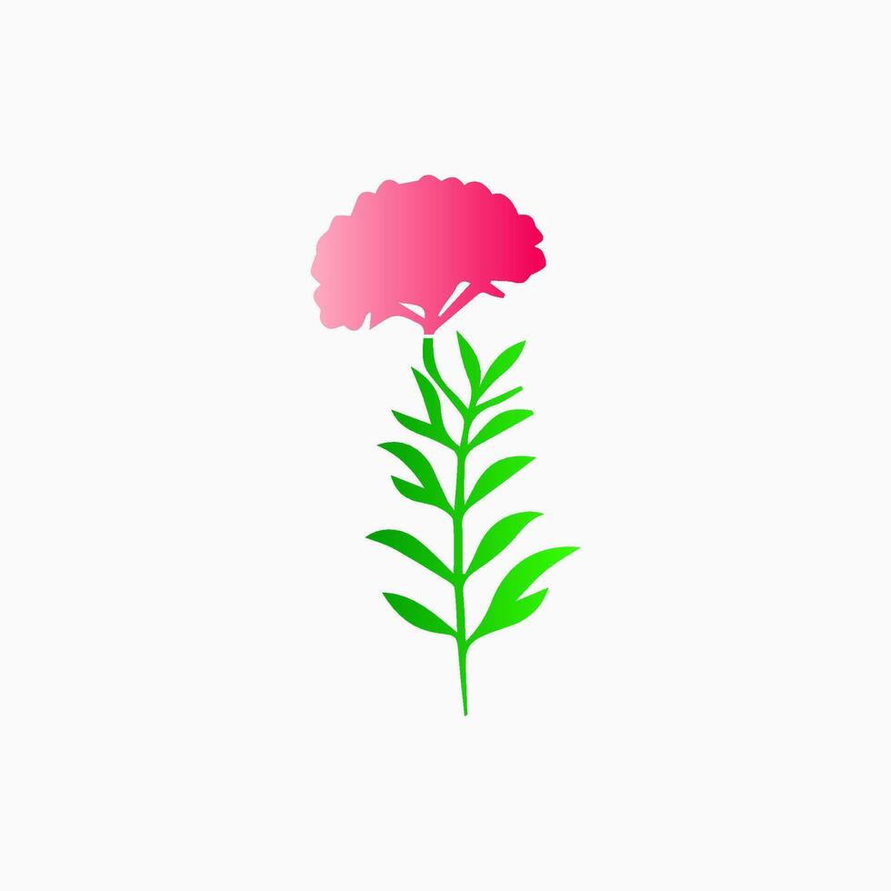 Pink flowers, floral decorated with gorgeous multicolored blooming flowers and leaves border. Spring botanical flat illustration on white background vector