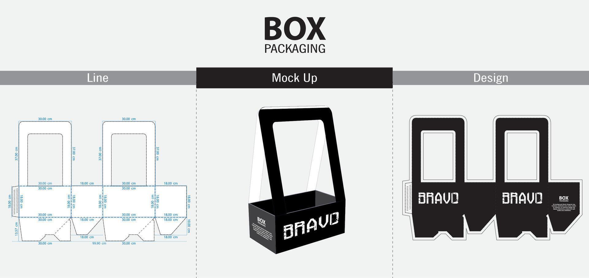 Box Design Packaging vector