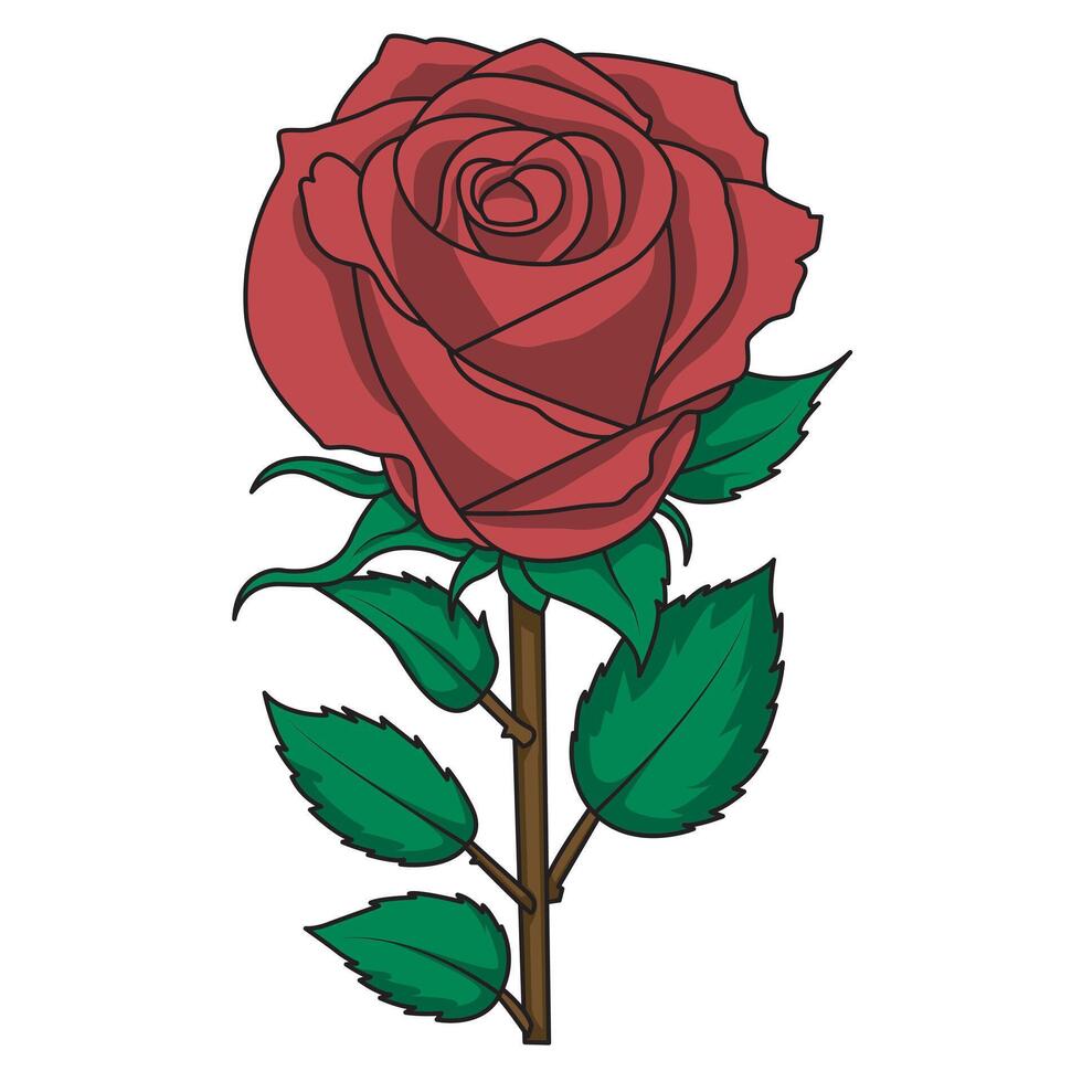of blushing red roses vector