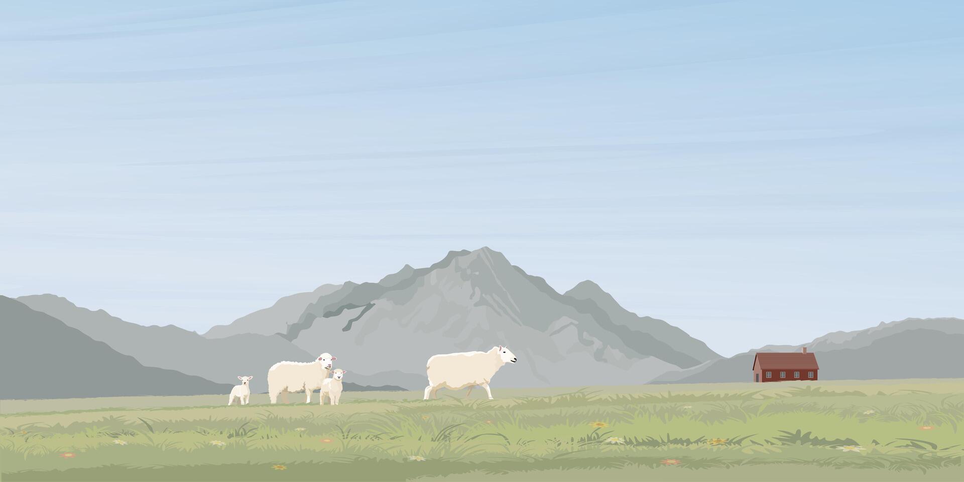 Minimalist landscape grass hill with sheep family, far away have old barn and mountain ranges graphic illustrated have blank space. vector