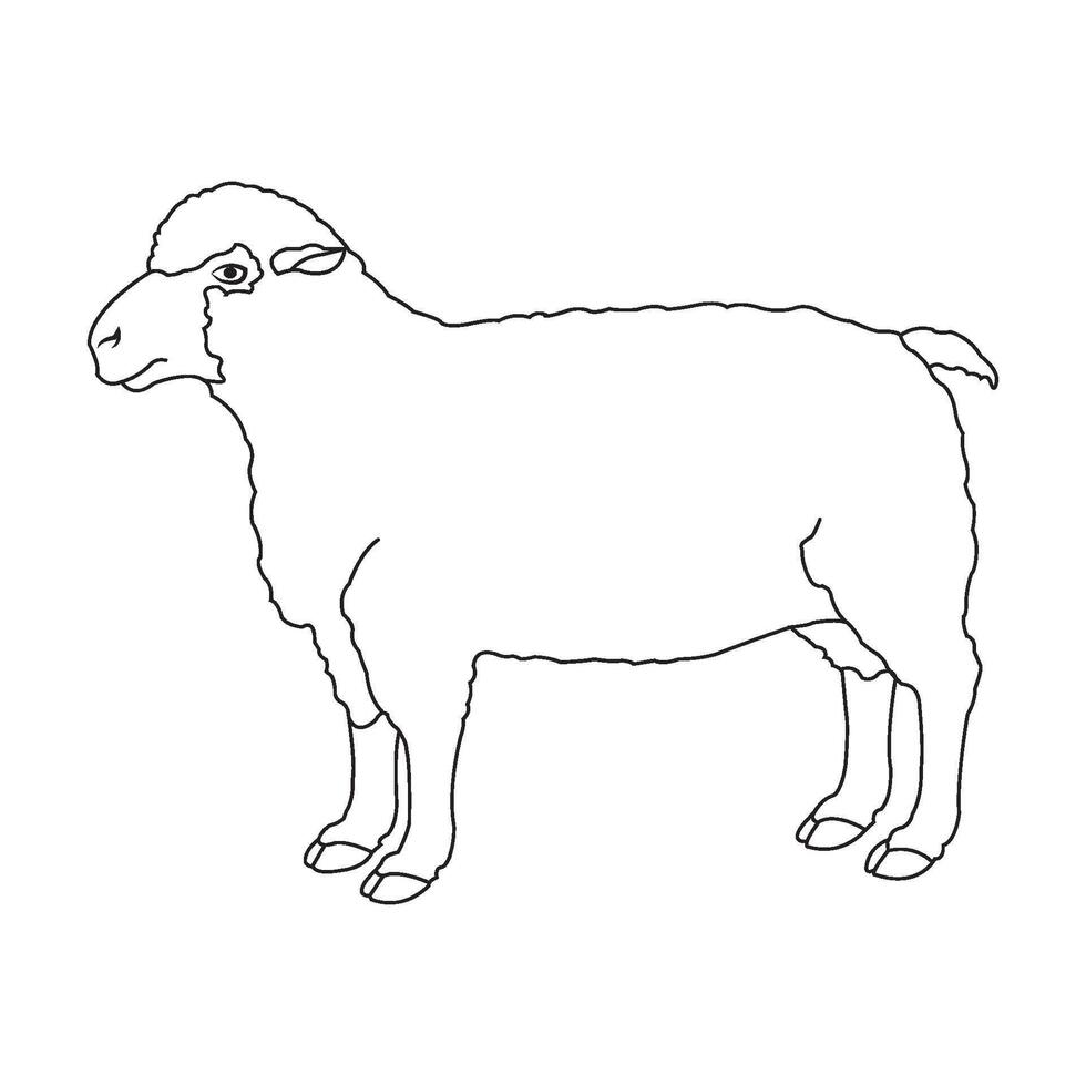 Sheep icon design vector