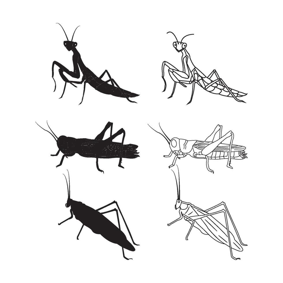 grasshopper icon design vector