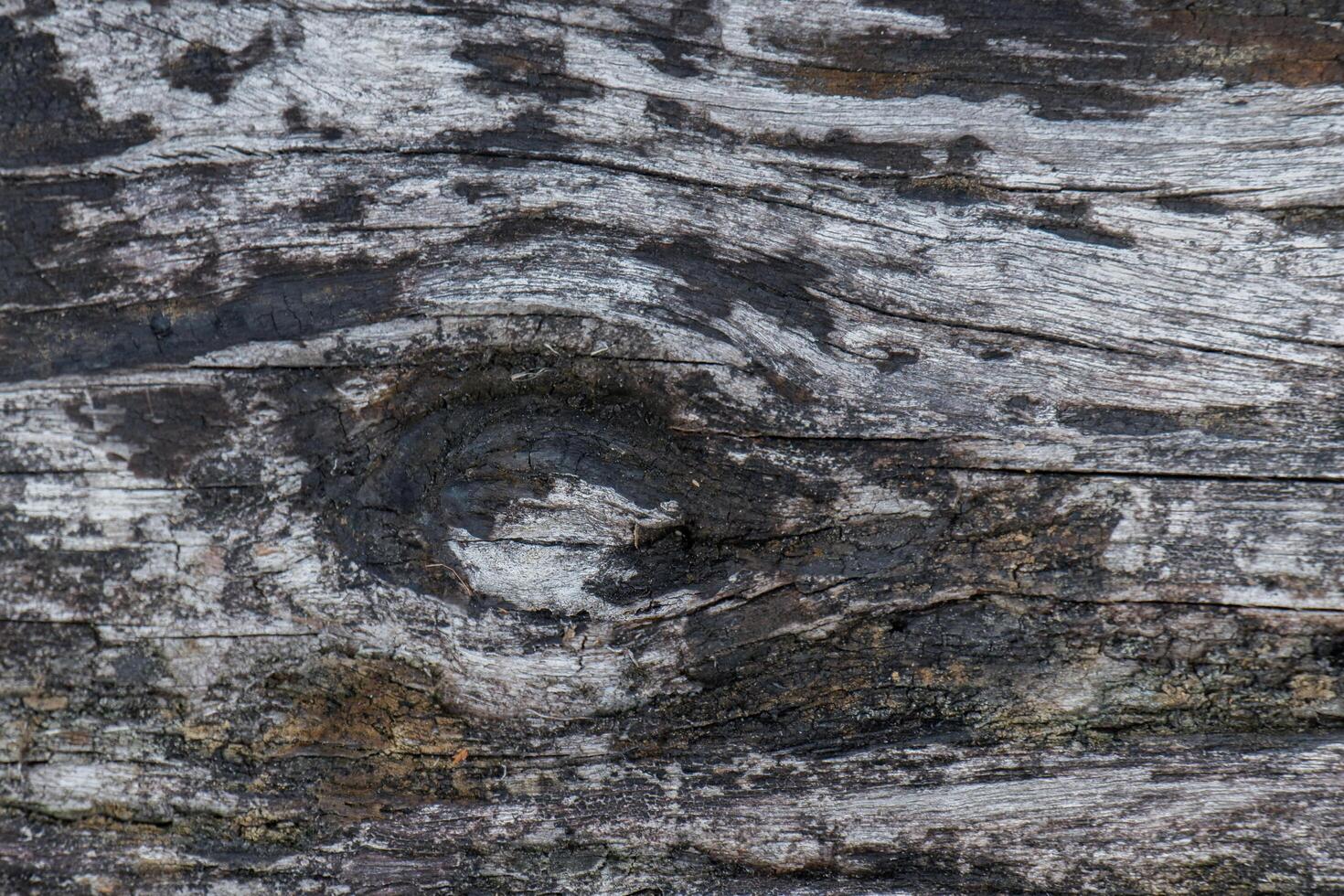 wood texture background burning and turning into wood charcoal. photo concept for forest burning, illegal logging causing climate change