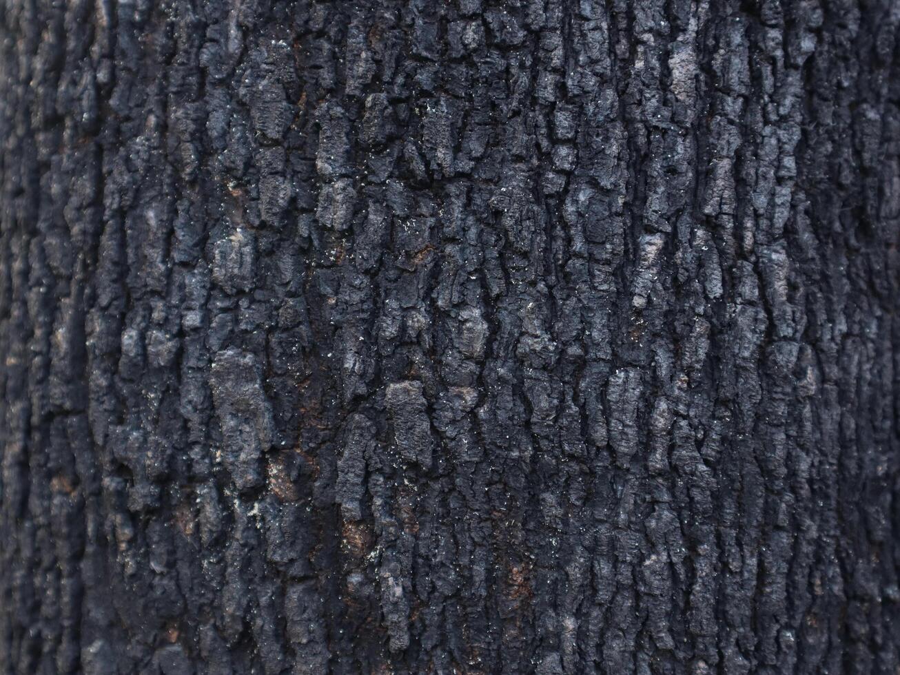 wood texture background burning and turning into wood charcoal. photo concept for forest burning, illegal logging causing climate change