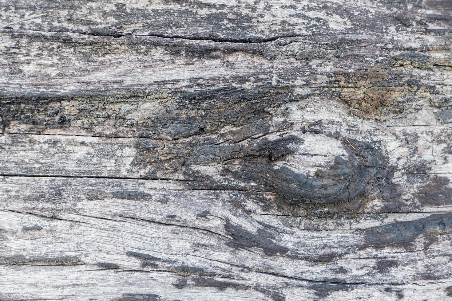 wood texture background burning and turning into wood charcoal. photo concept for forest burning, illegal logging causing climate change