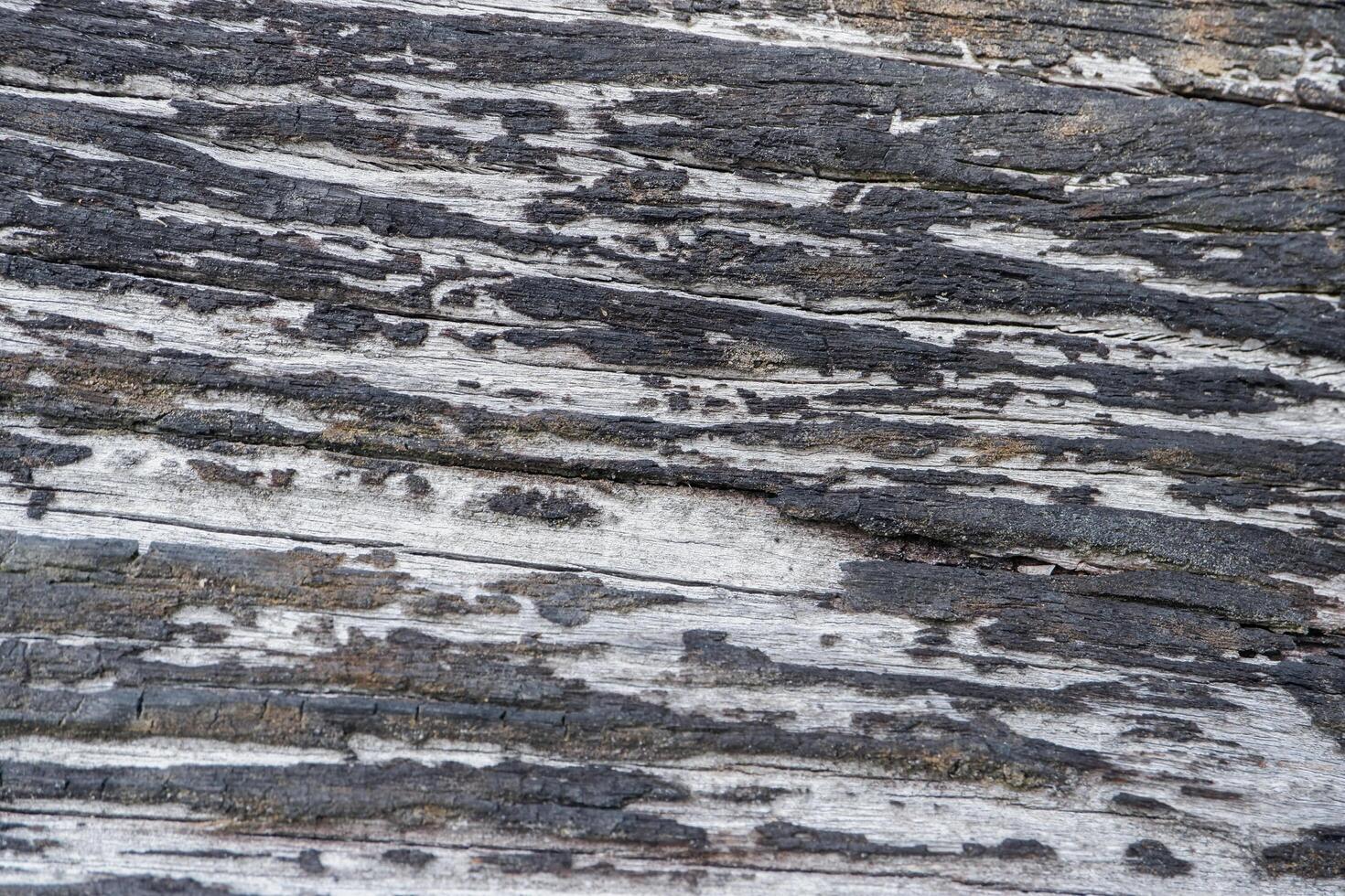 wood texture background burning and turning into wood charcoal. photo concept for forest burning, illegal logging causing climate change