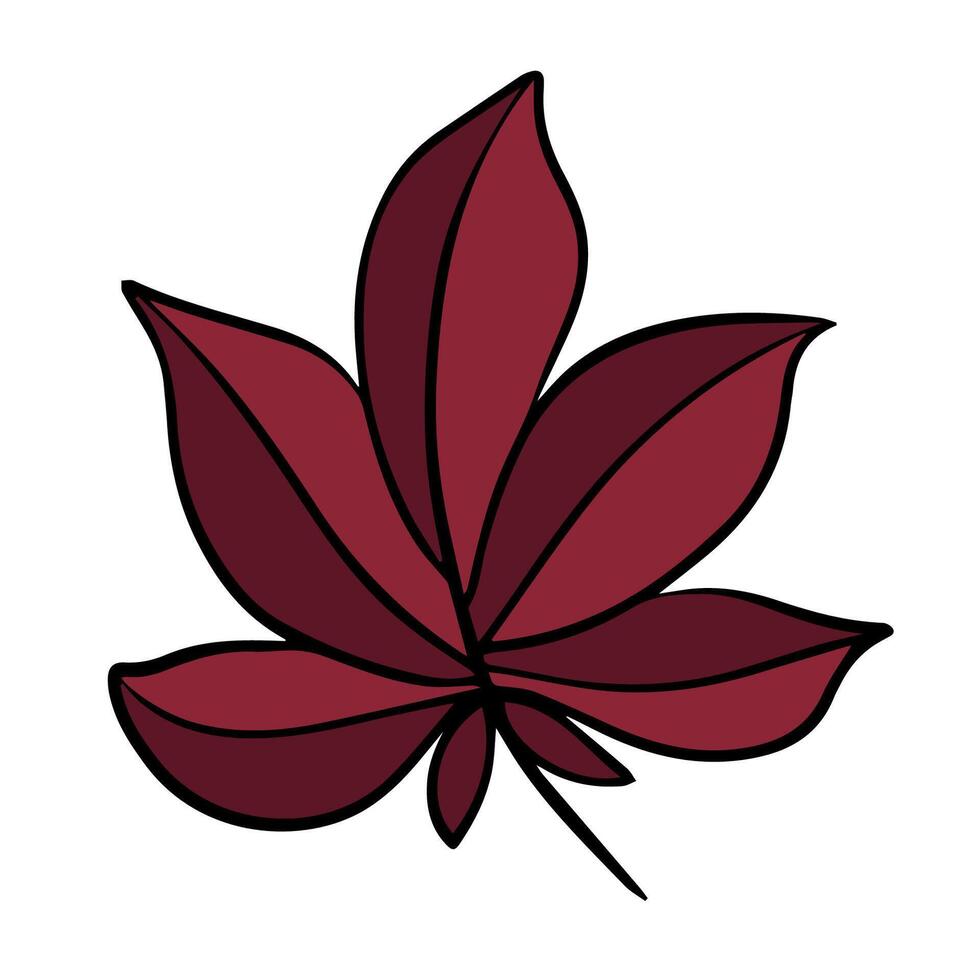 Illustration of an autumn leaf on a white background. vector