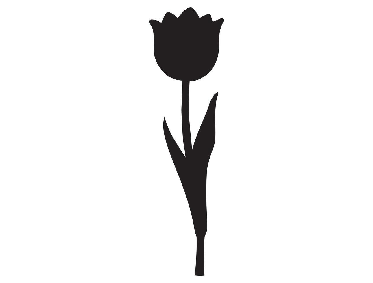 Tulip silhouette on white background vector
