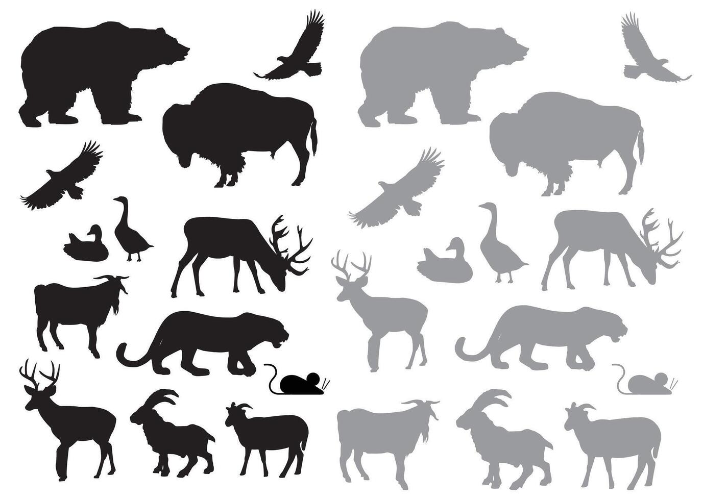 Wild Animals Silhouette collection with White Background vector