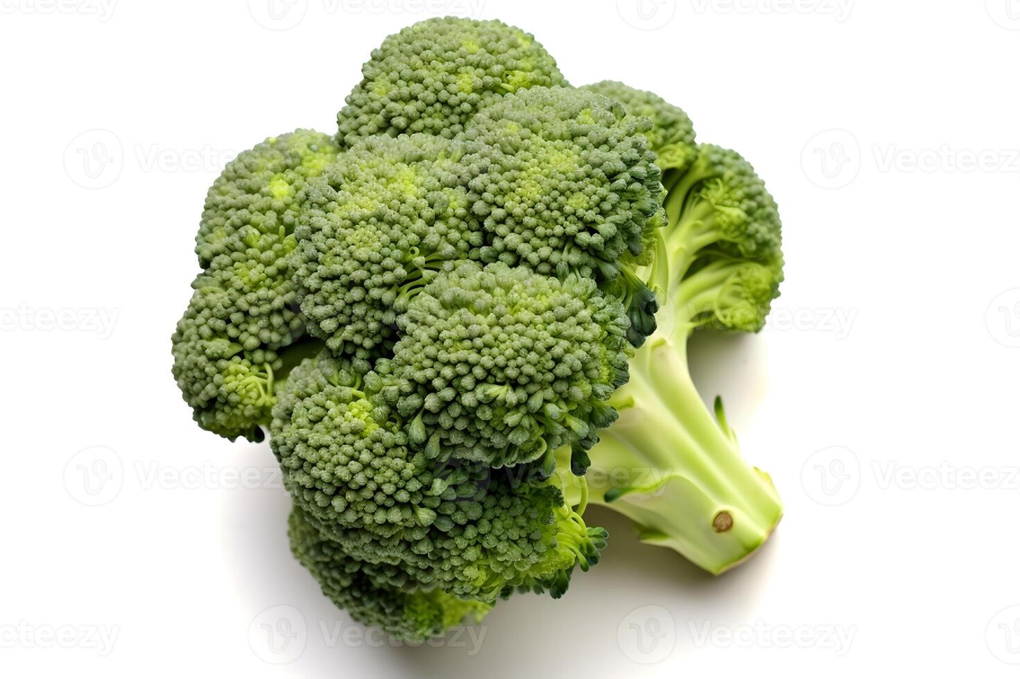 Broccoli isolated on white background photo