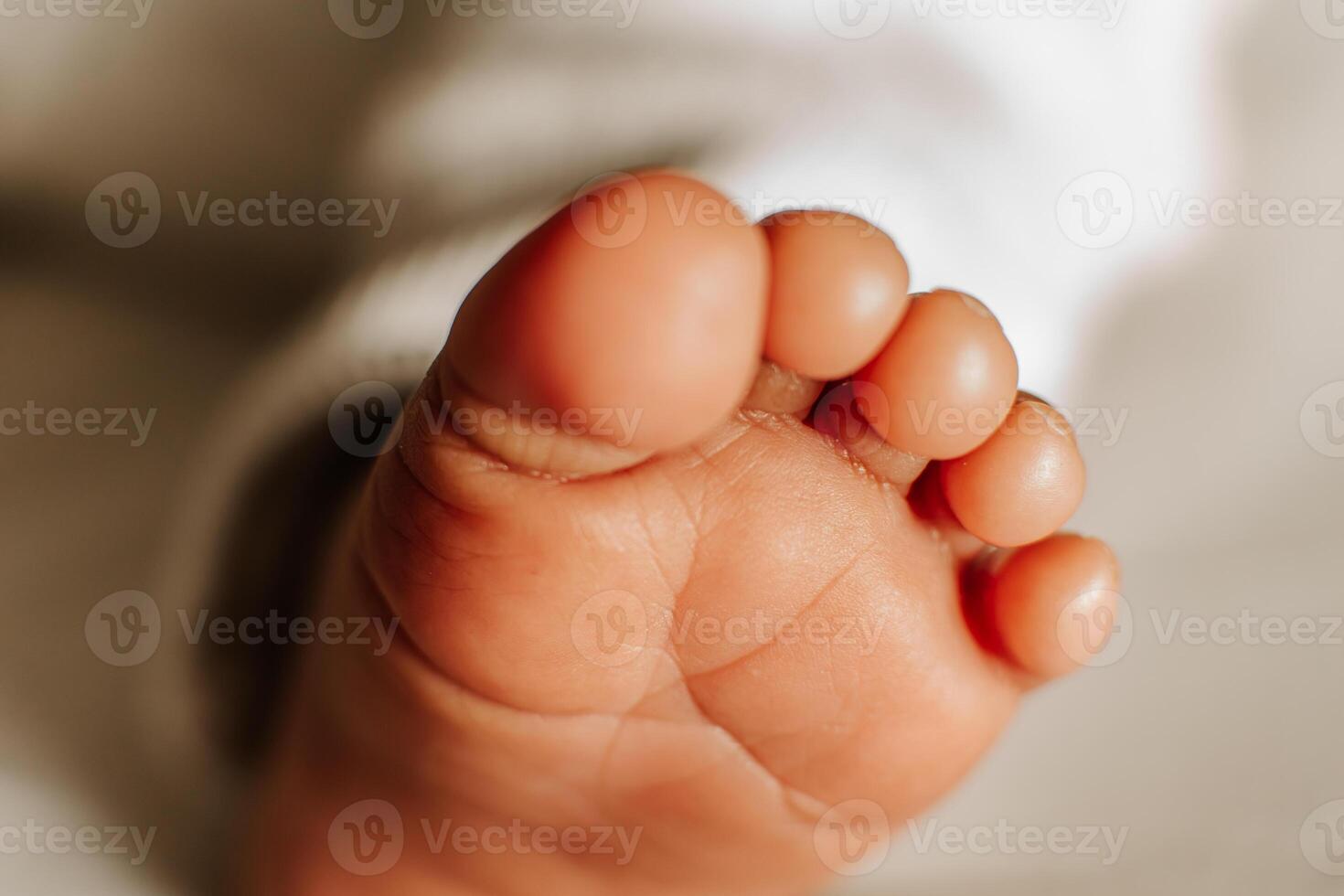 a tiny feet of baby child. photo