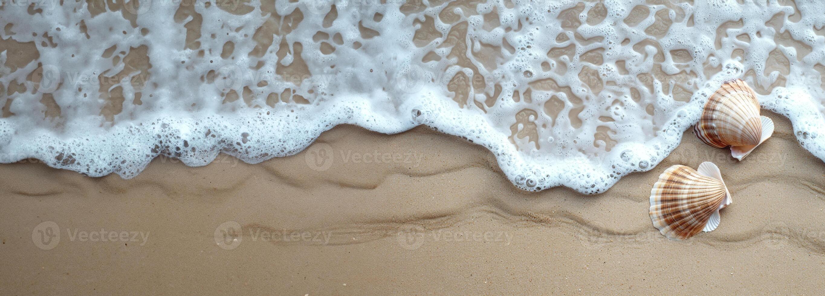 Summer background, banner with two sea shells on the sandy shore near the sea wave on a sunny day. space for text, summer promotion, vacation, travel. Sand texture photo