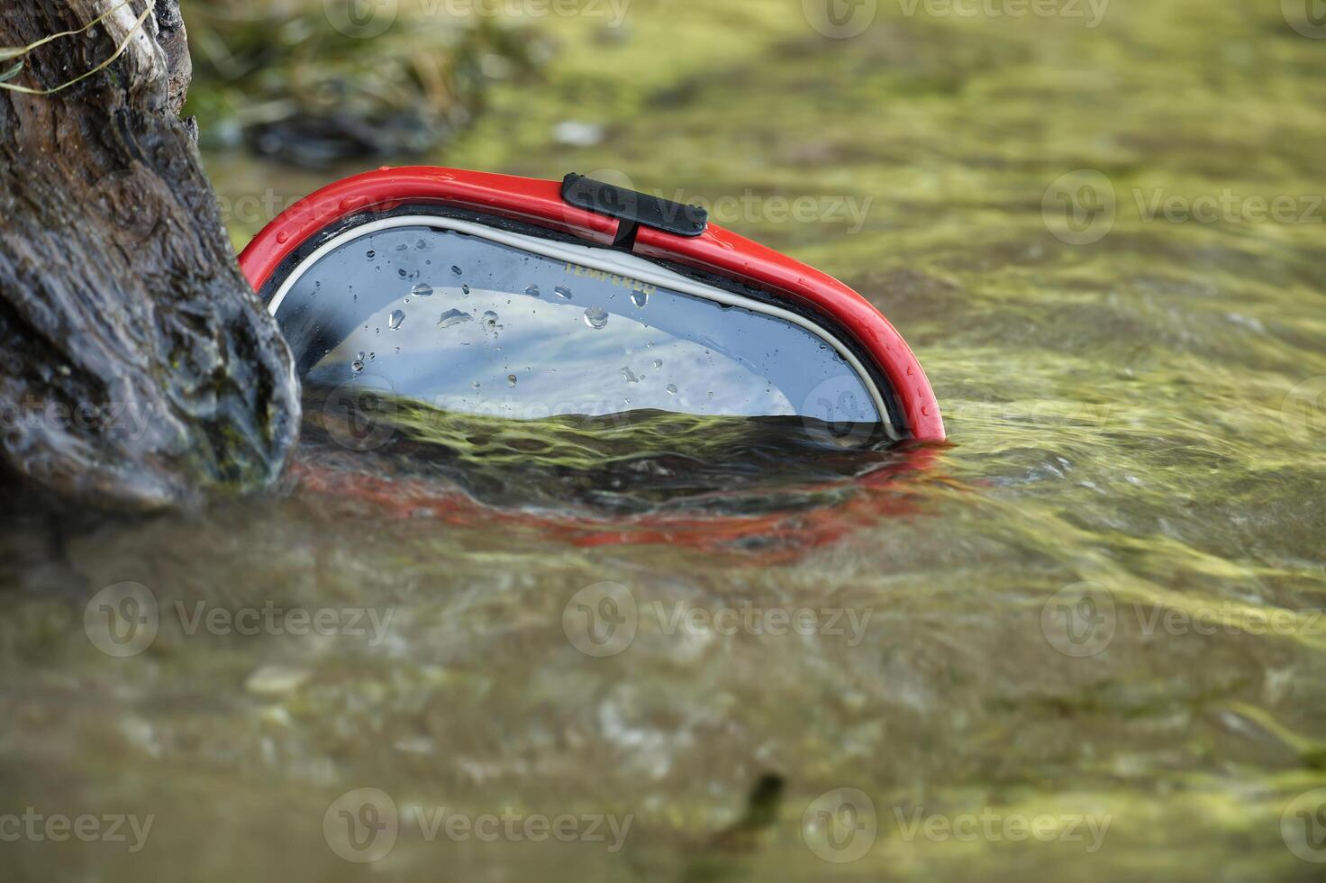 Red scuba diving mask partially submerged in shallow water near tree trunk photo