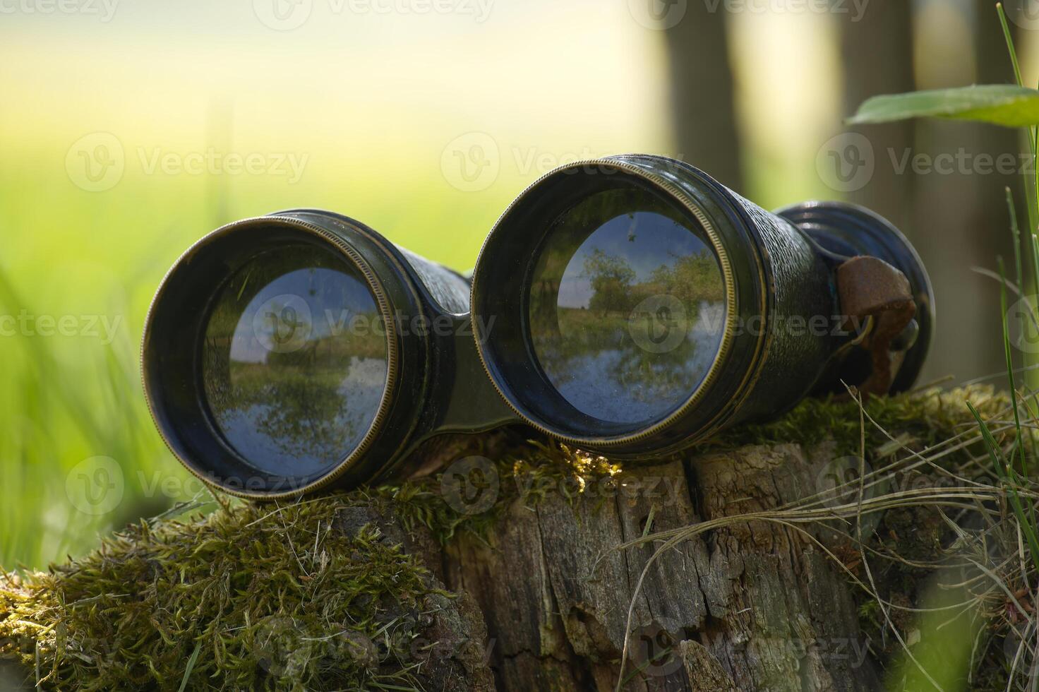 Vintage binoculars resting on mossy tree stump in forest setting photo