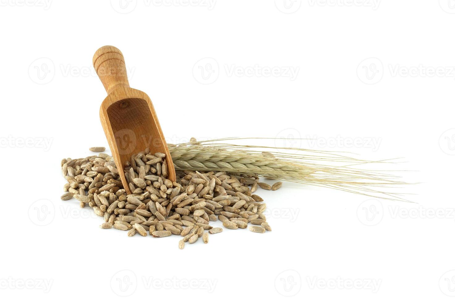 Wooden scooper filled with rye grains next to rye ears on white background photo