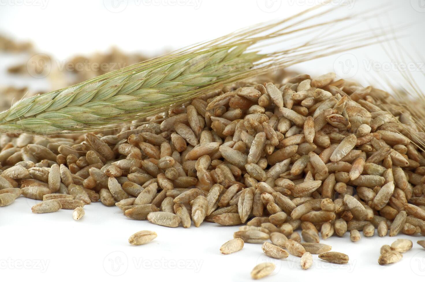 Closeup of rye grains for natural food and agriculture background photo