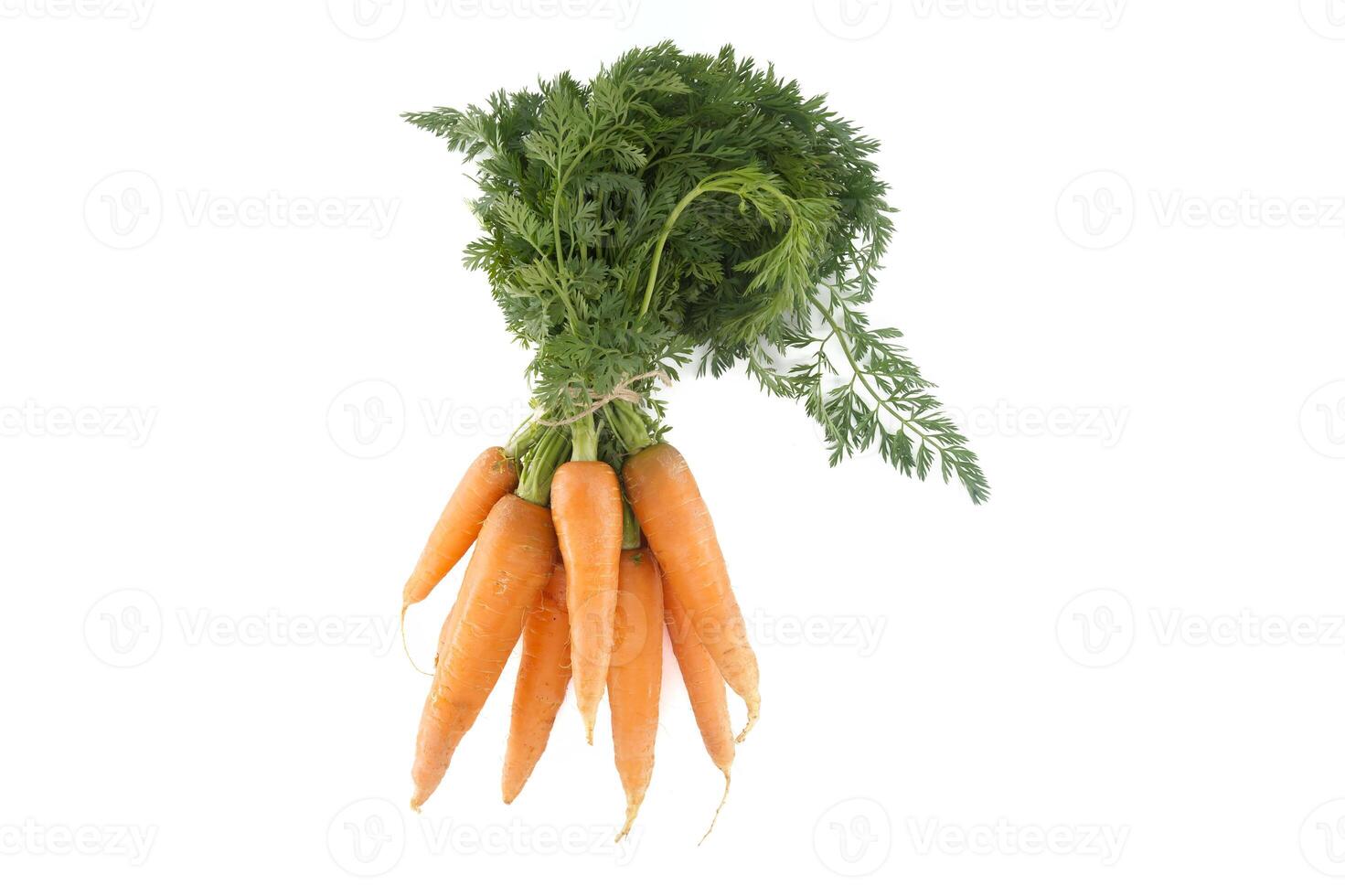 Bundle of vibrant orange carrots with green leafy tops isolated on white photo