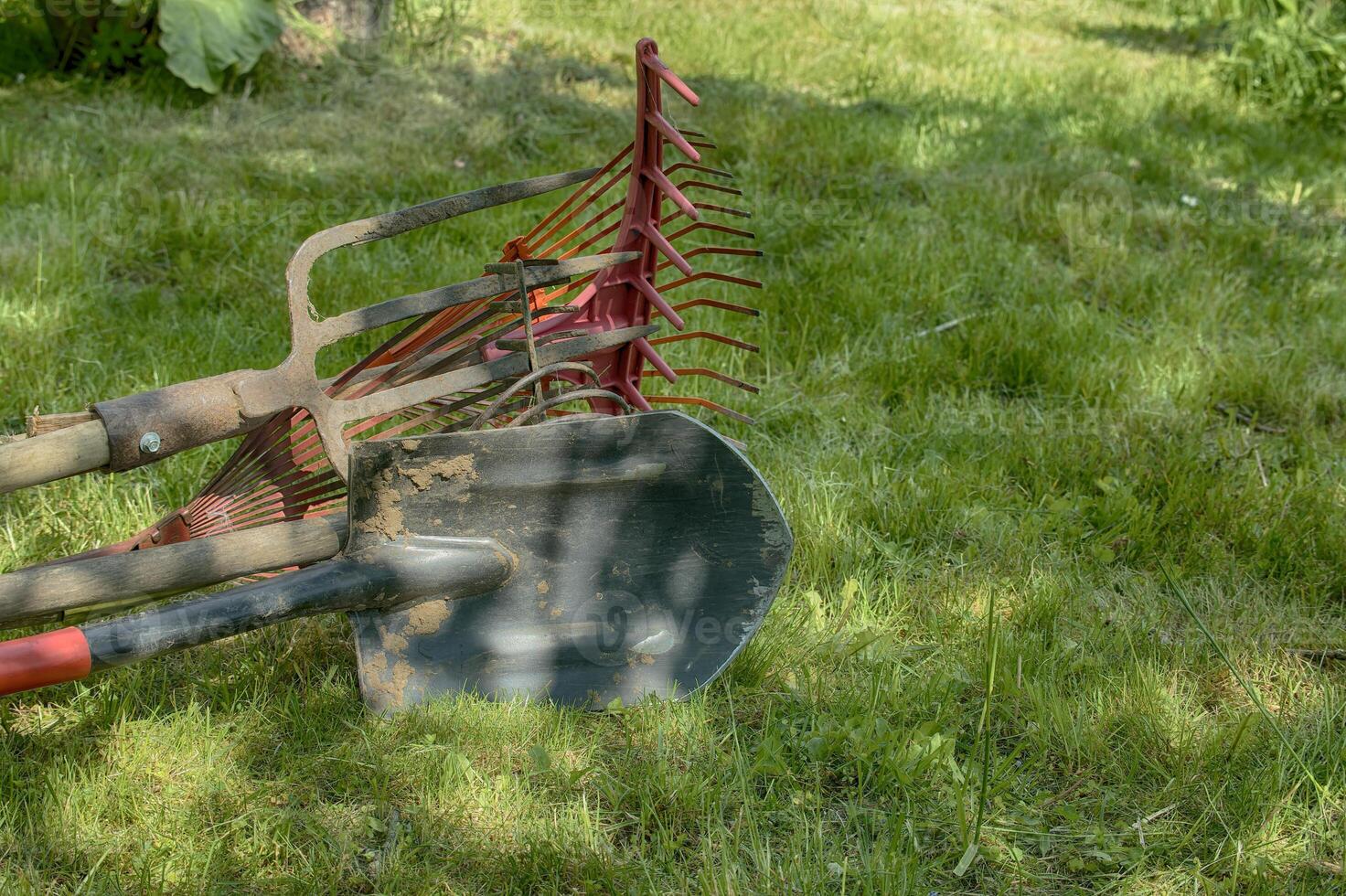 Gardening tools resting on green grass in a sunny garden photo