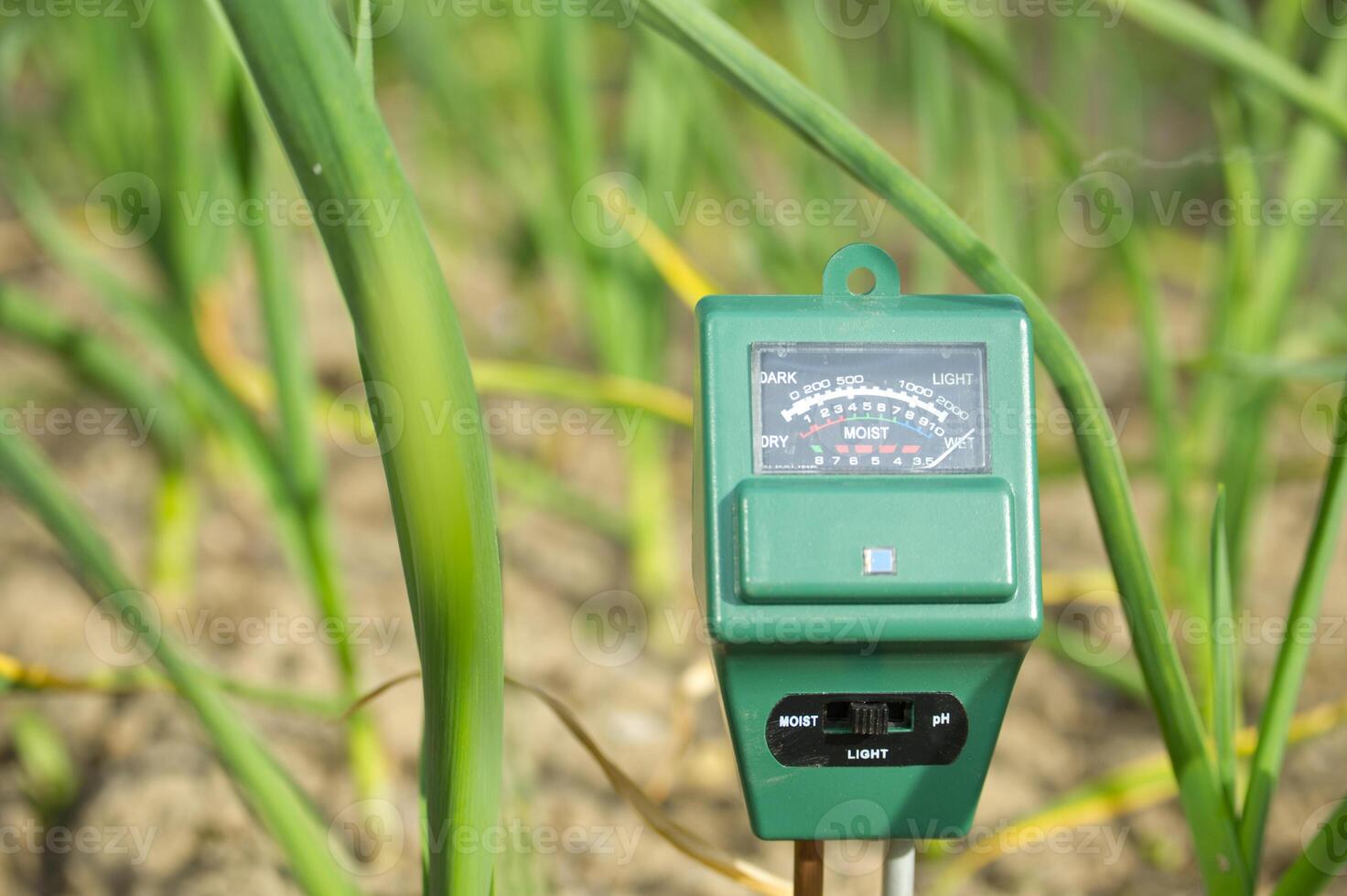 Three way meter PH, light and moisture in the soil photo