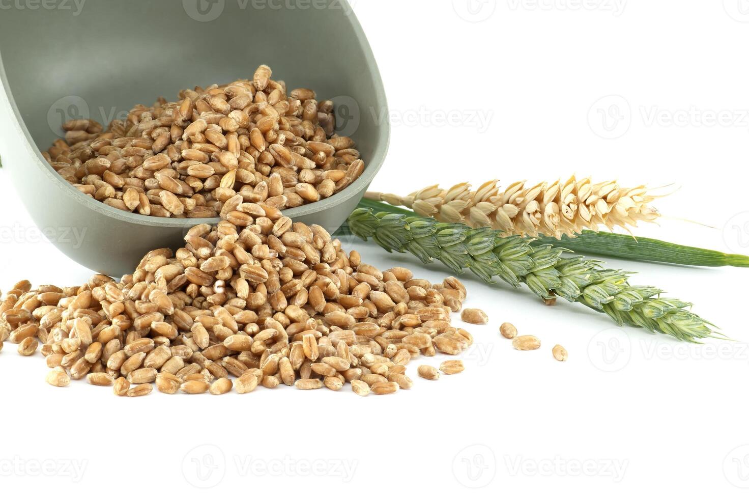 Pile of wheat grains spilling from a bowl with wheat stalks on a white background photo