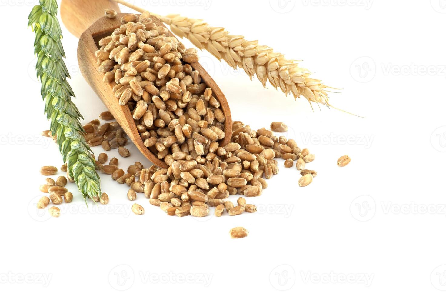 Scooper filled with wheat grains next to wheat ears on white background photo